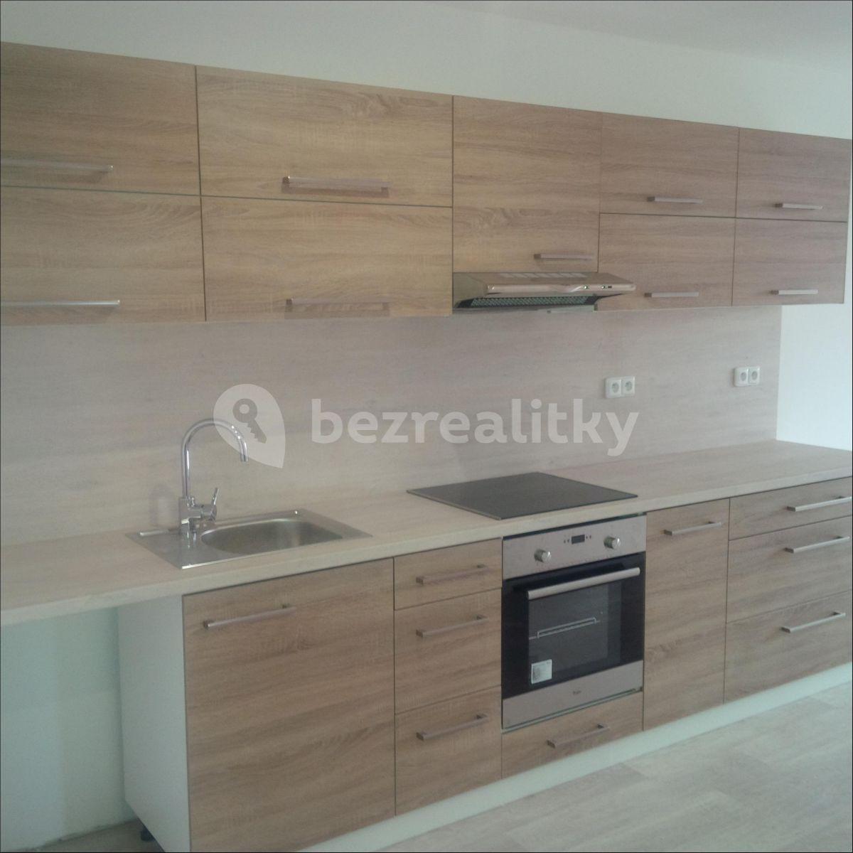 1 bedroom with open-plan kitchen flat to rent, 75 m², 435, Kožušany-Tážaly, Olomoucký Region