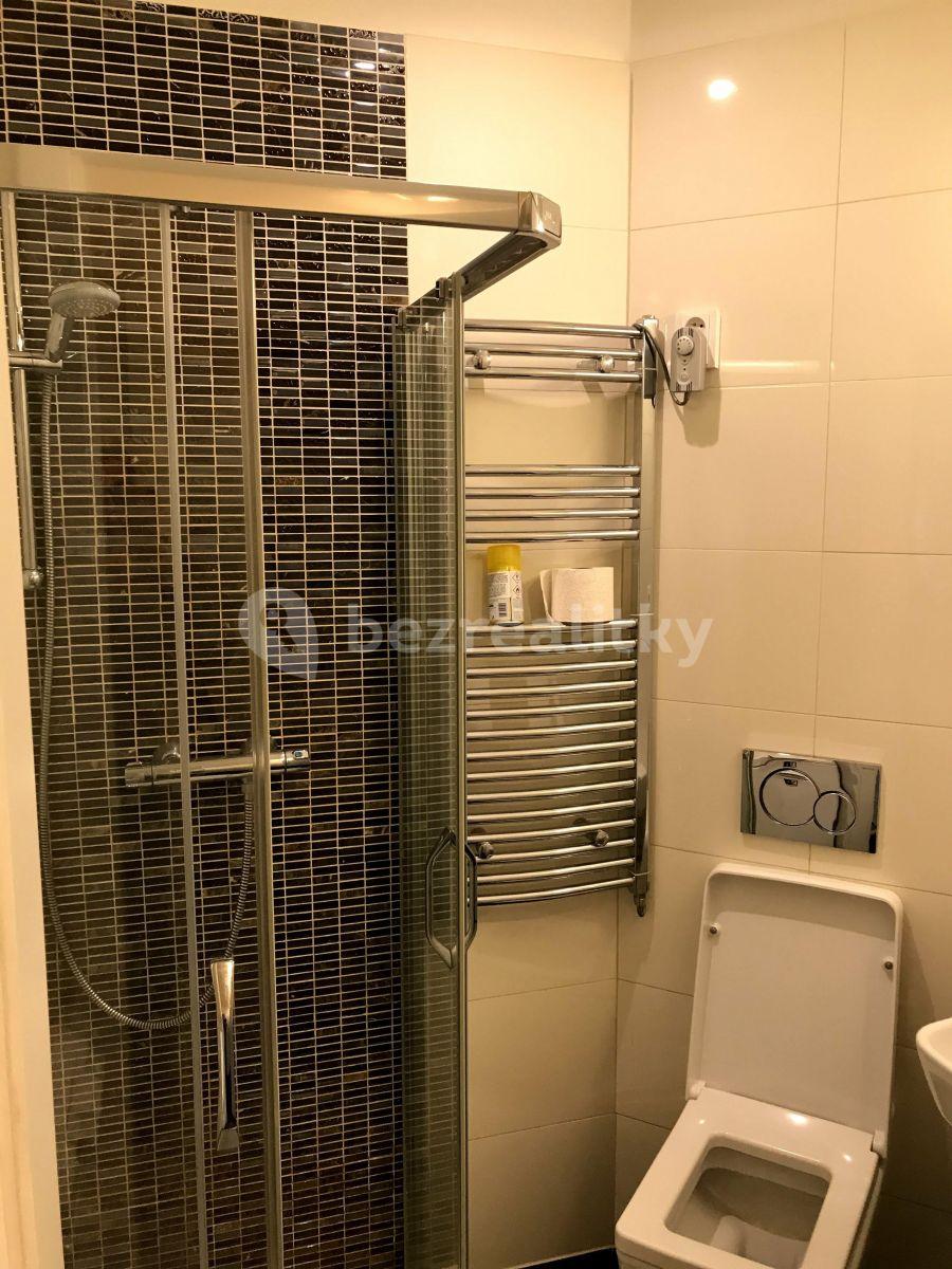 Studio flat to rent, 34 m², Šimáčkova, Prague, Prague