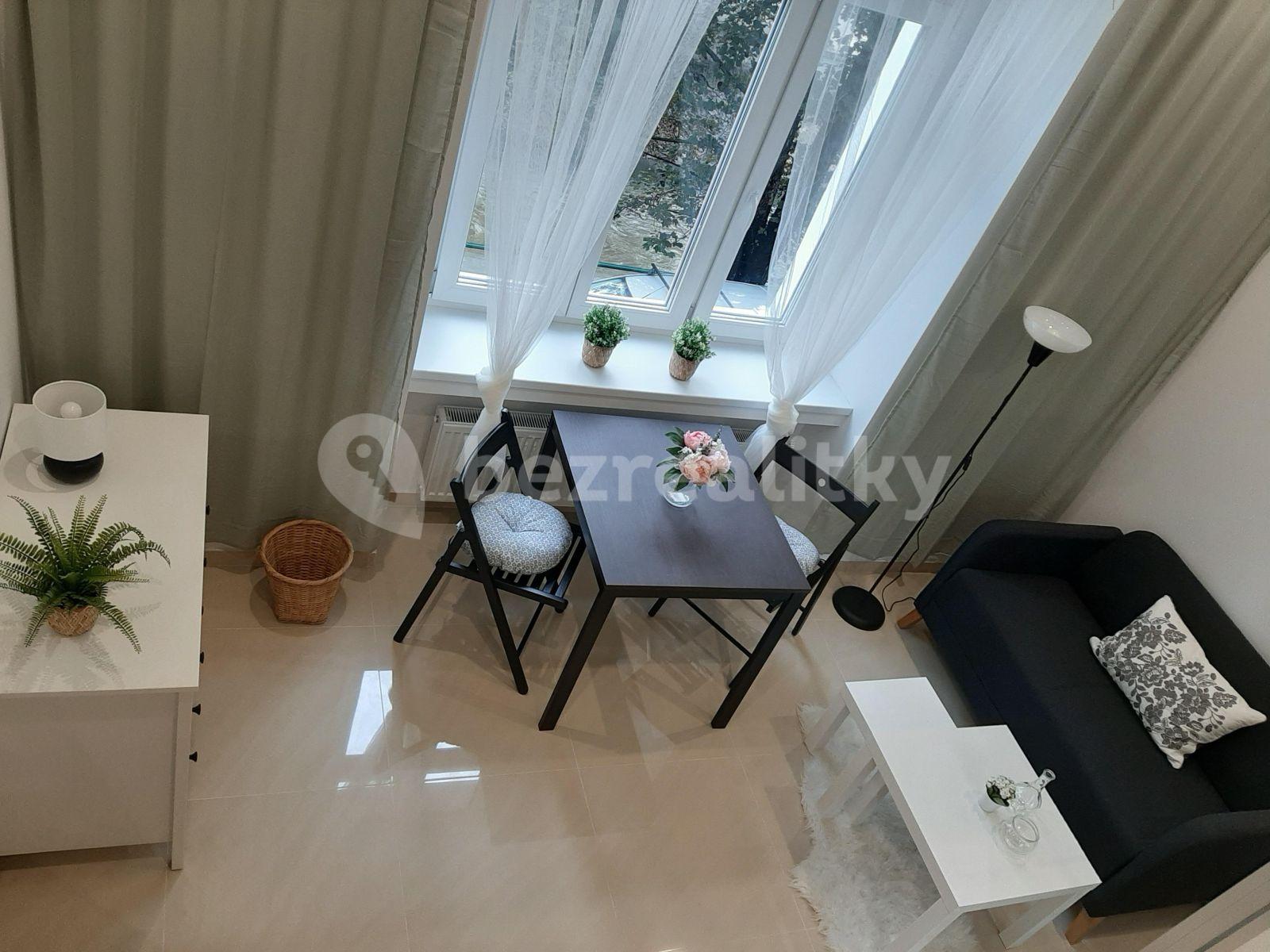 Small studio flat to rent, 25 m², Nuselská, Prague, Prague