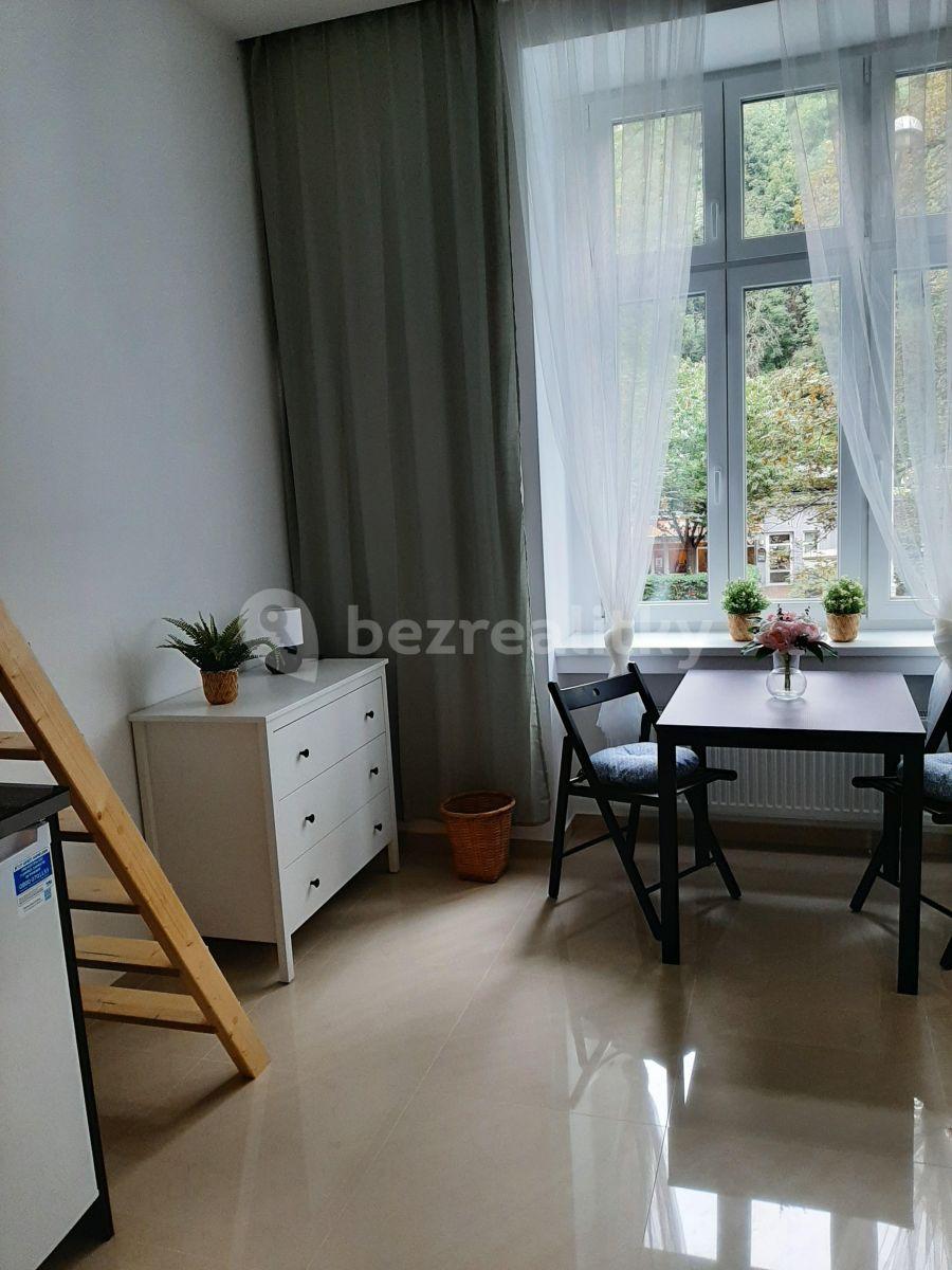 Small studio flat to rent, 25 m², Nuselská, Prague, Prague