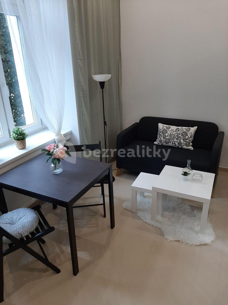 Small studio flat to rent, 25 m², Nuselská, Prague, Prague