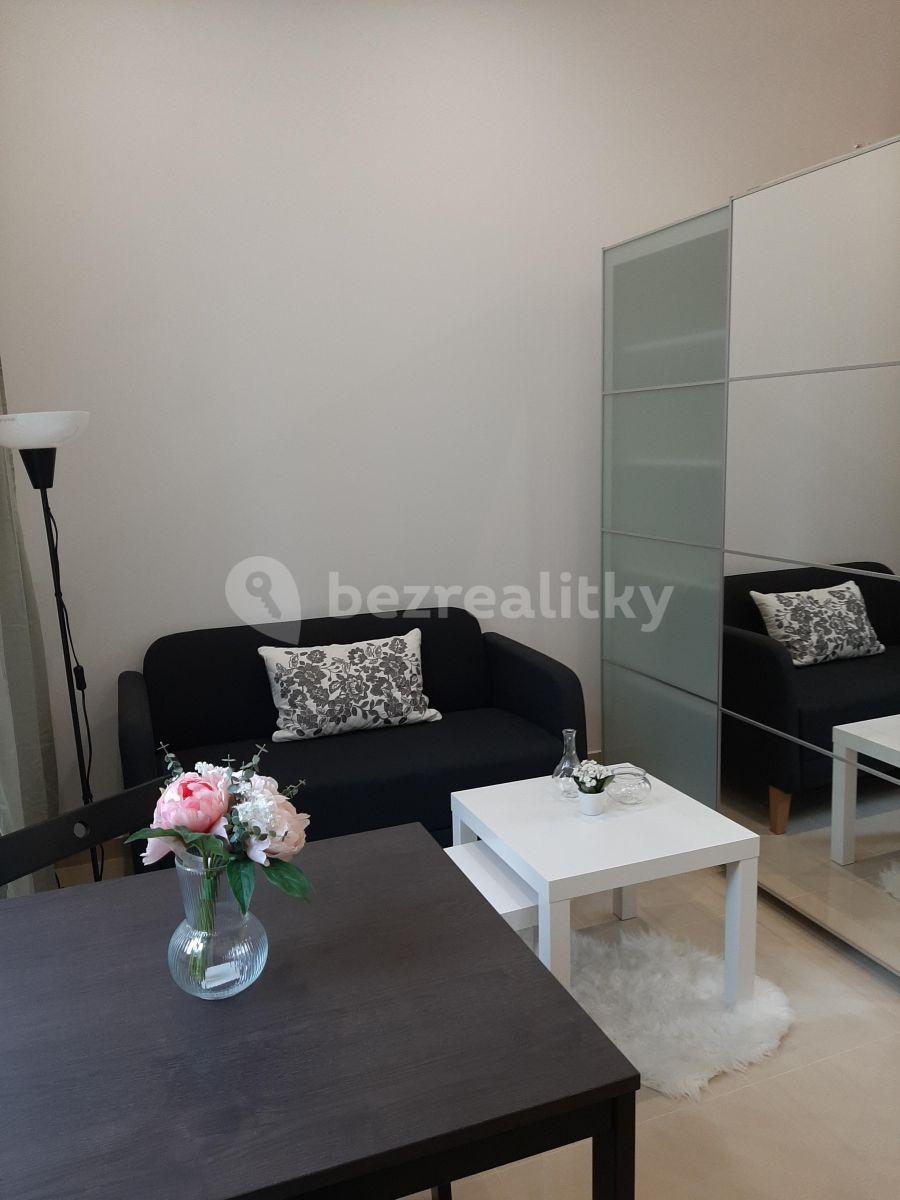 Small studio flat to rent, 25 m², Nuselská, Prague, Prague