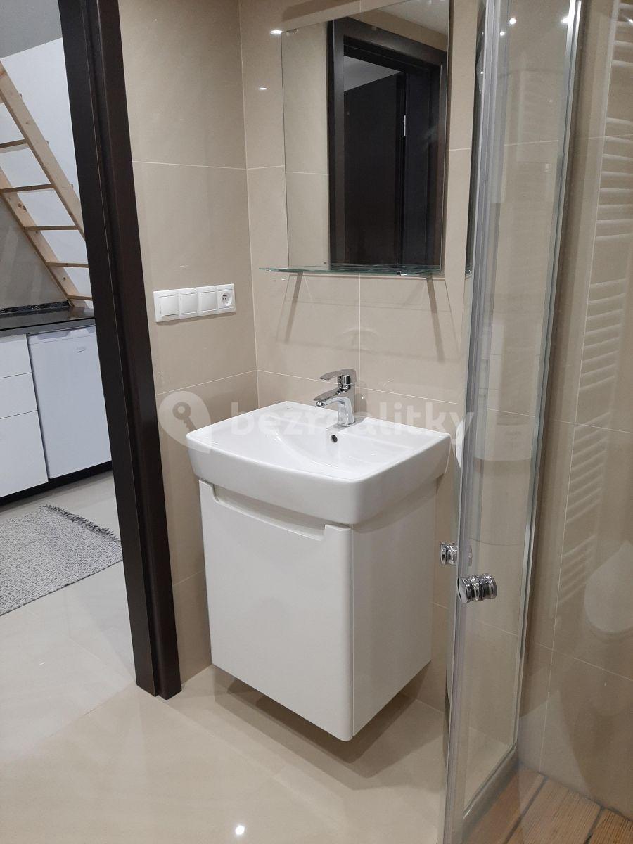 Small studio flat to rent, 25 m², Nuselská, Prague, Prague