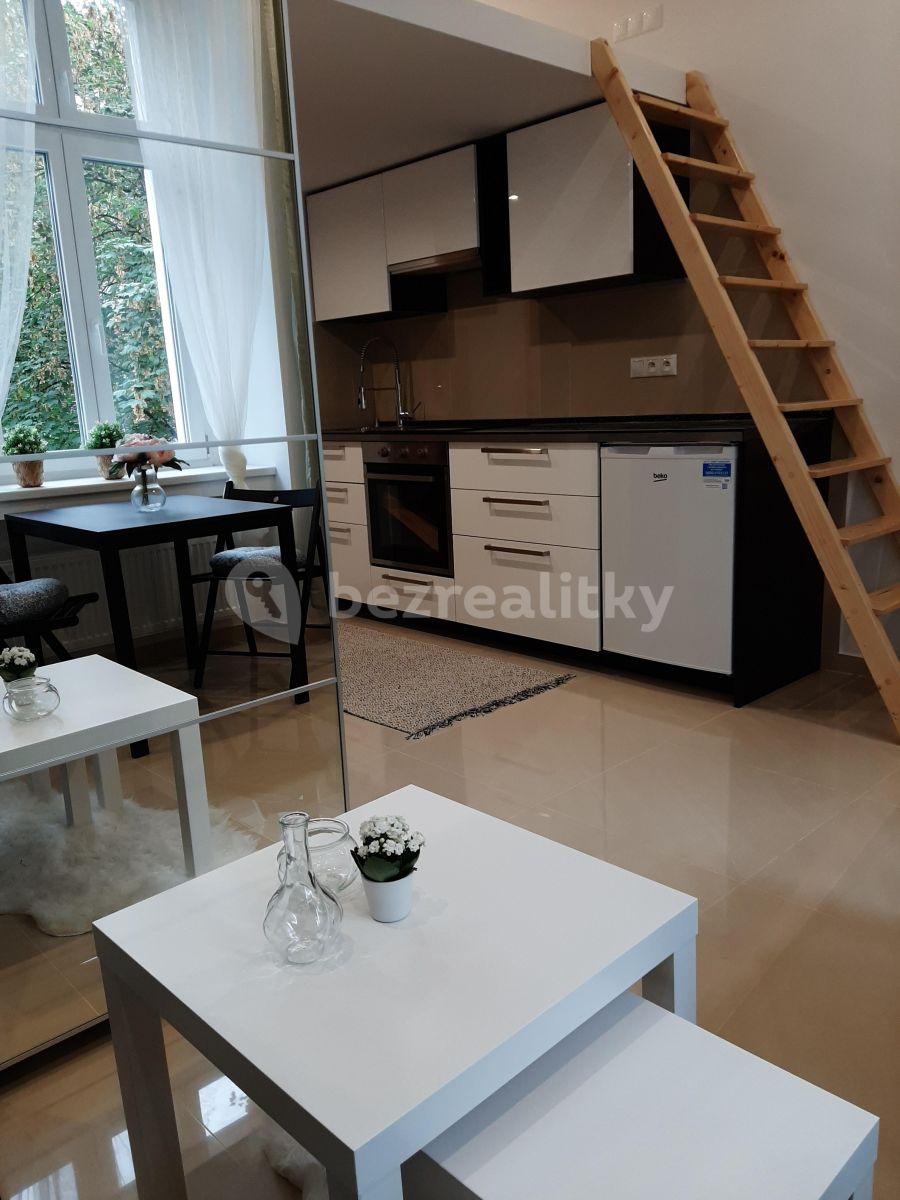 Small studio flat to rent, 25 m², Nuselská, Prague, Prague