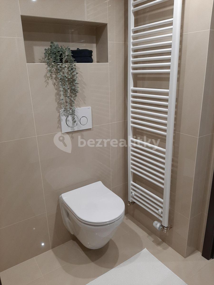 Small studio flat to rent, 25 m², Nuselská, Prague, Prague