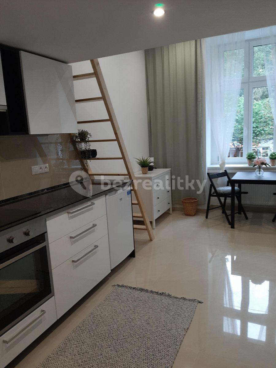 Small studio flat to rent, 25 m², Nuselská, Prague, Prague