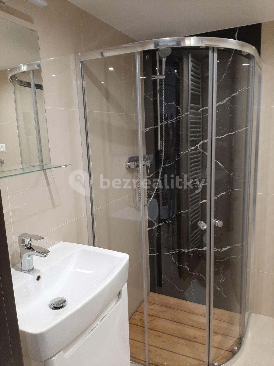 Small studio flat to rent, 25 m², Nuselská, Prague, Prague