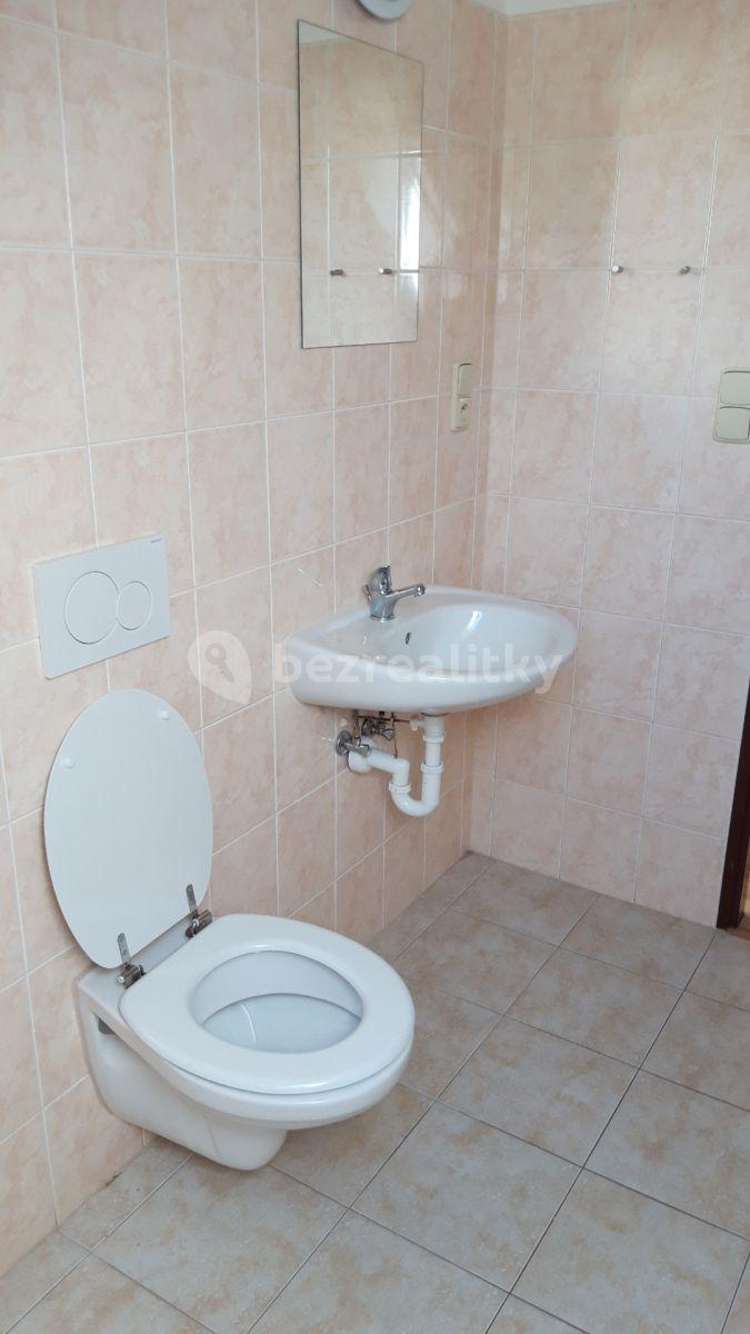 1 bedroom with open-plan kitchen flat to rent, 59 m², Říčařova, Hradec Králové, Královéhradecký Region