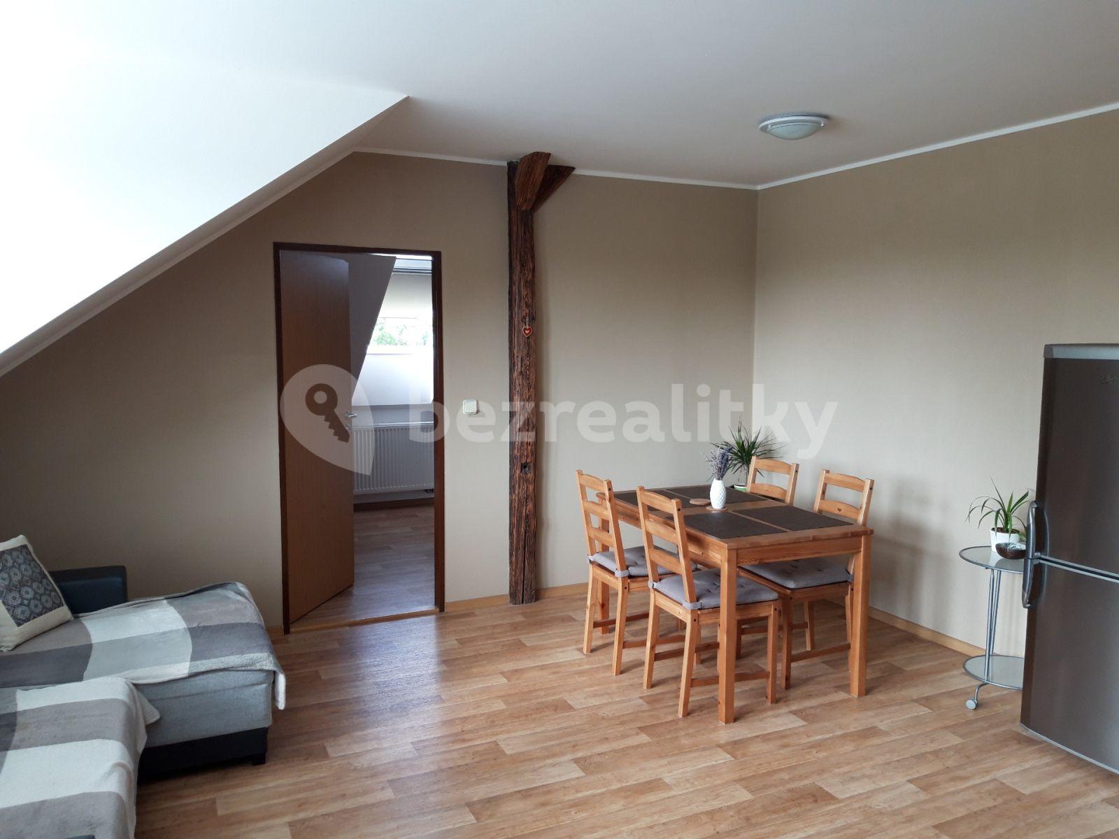 1 bedroom with open-plan kitchen flat to rent, 59 m², Říčařova, Hradec Králové, Královéhradecký Region