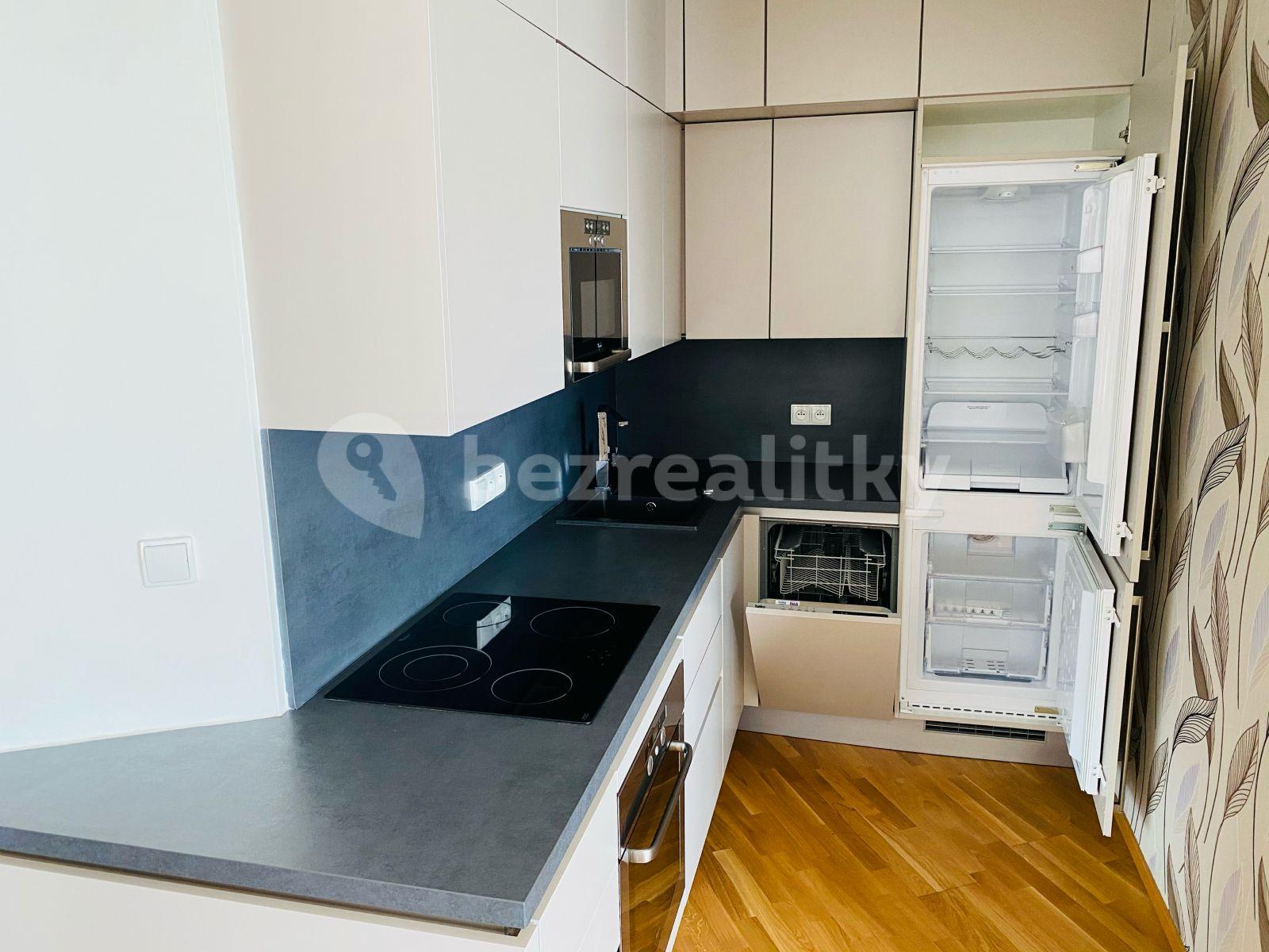 1 bedroom with open-plan kitchen flat to rent, 60 m², Jandova, Prague, Prague