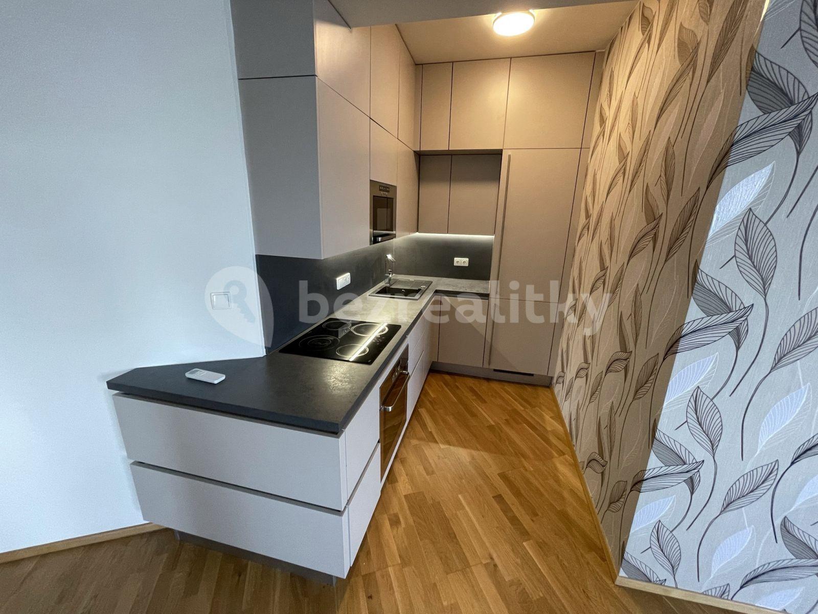 1 bedroom with open-plan kitchen flat to rent, 60 m², Jandova, Prague, Prague