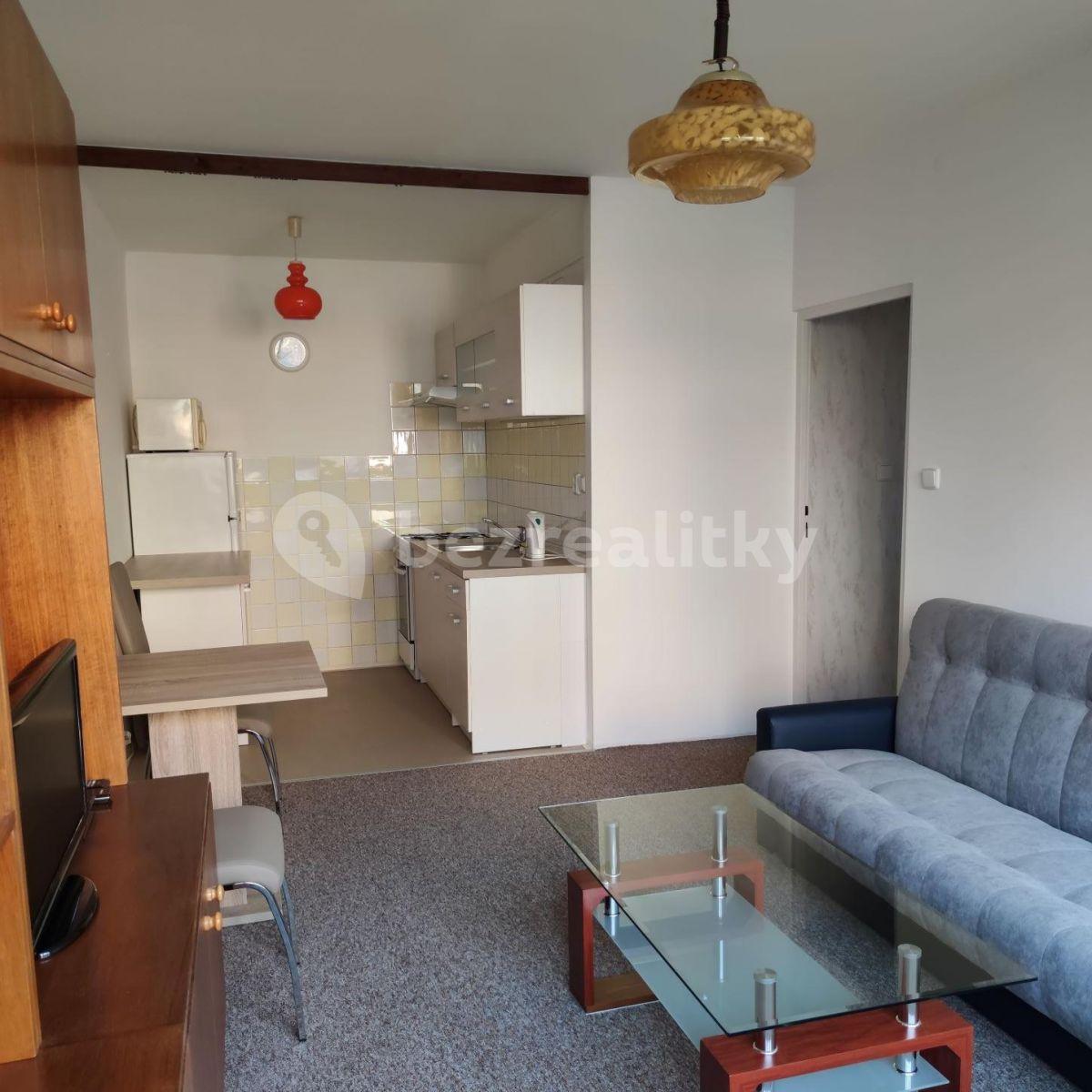 1 bedroom with open-plan kitchen flat to rent, 42 m², Přímětická, Prague, Prague