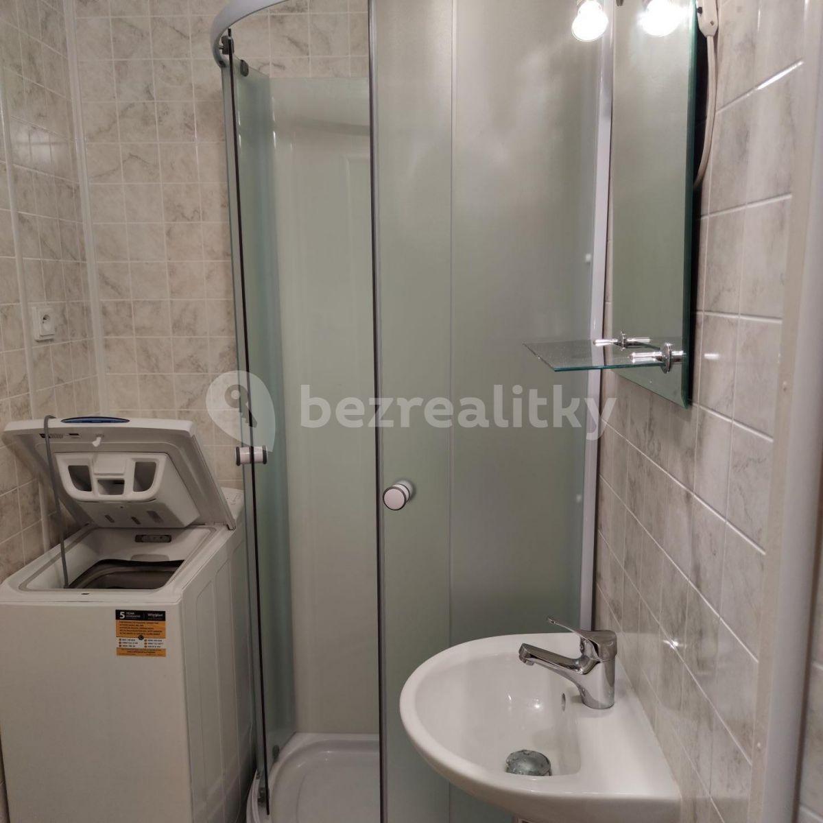 1 bedroom with open-plan kitchen flat to rent, 42 m², Přímětická, Prague, Prague