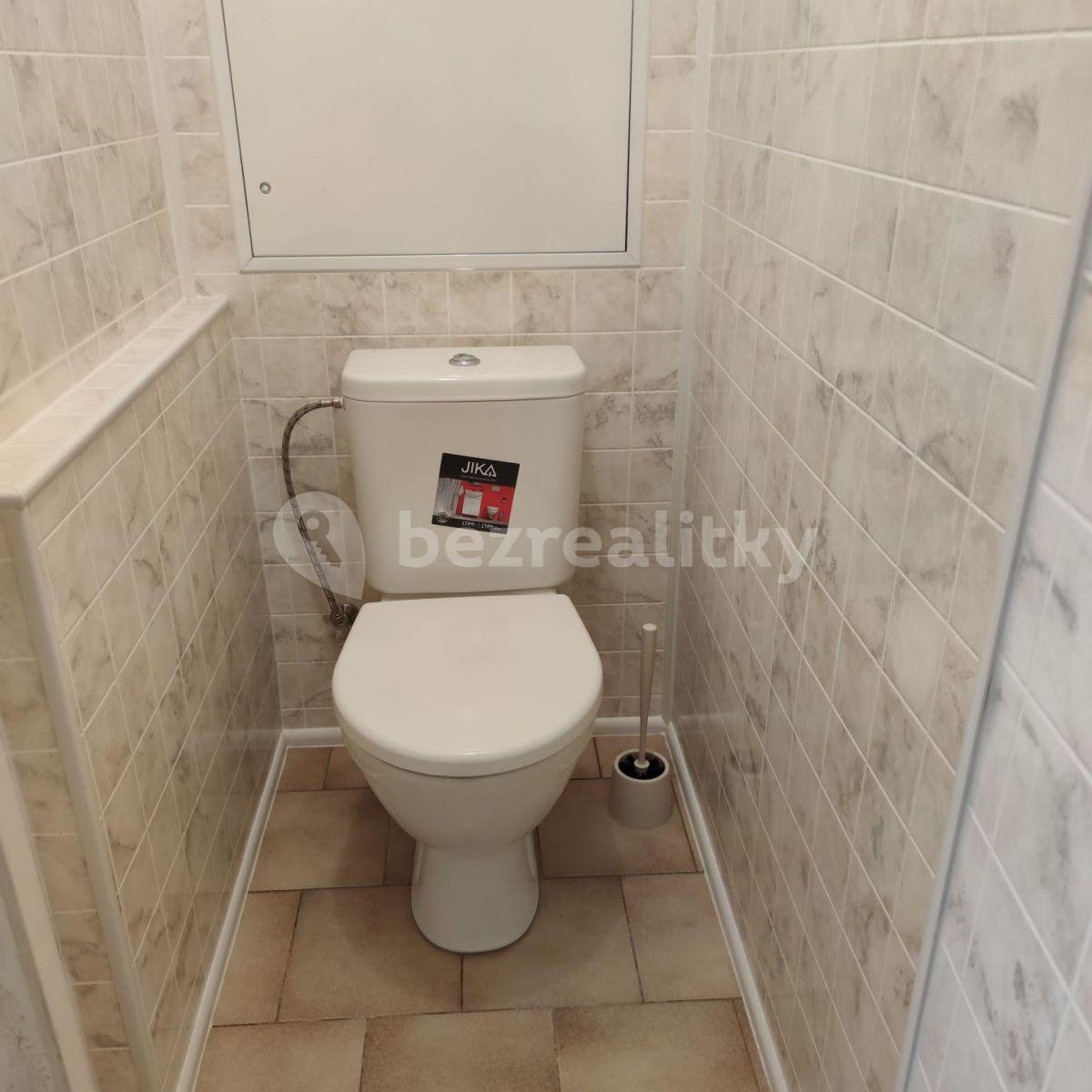 1 bedroom with open-plan kitchen flat to rent, 42 m², Přímětická, Prague, Prague