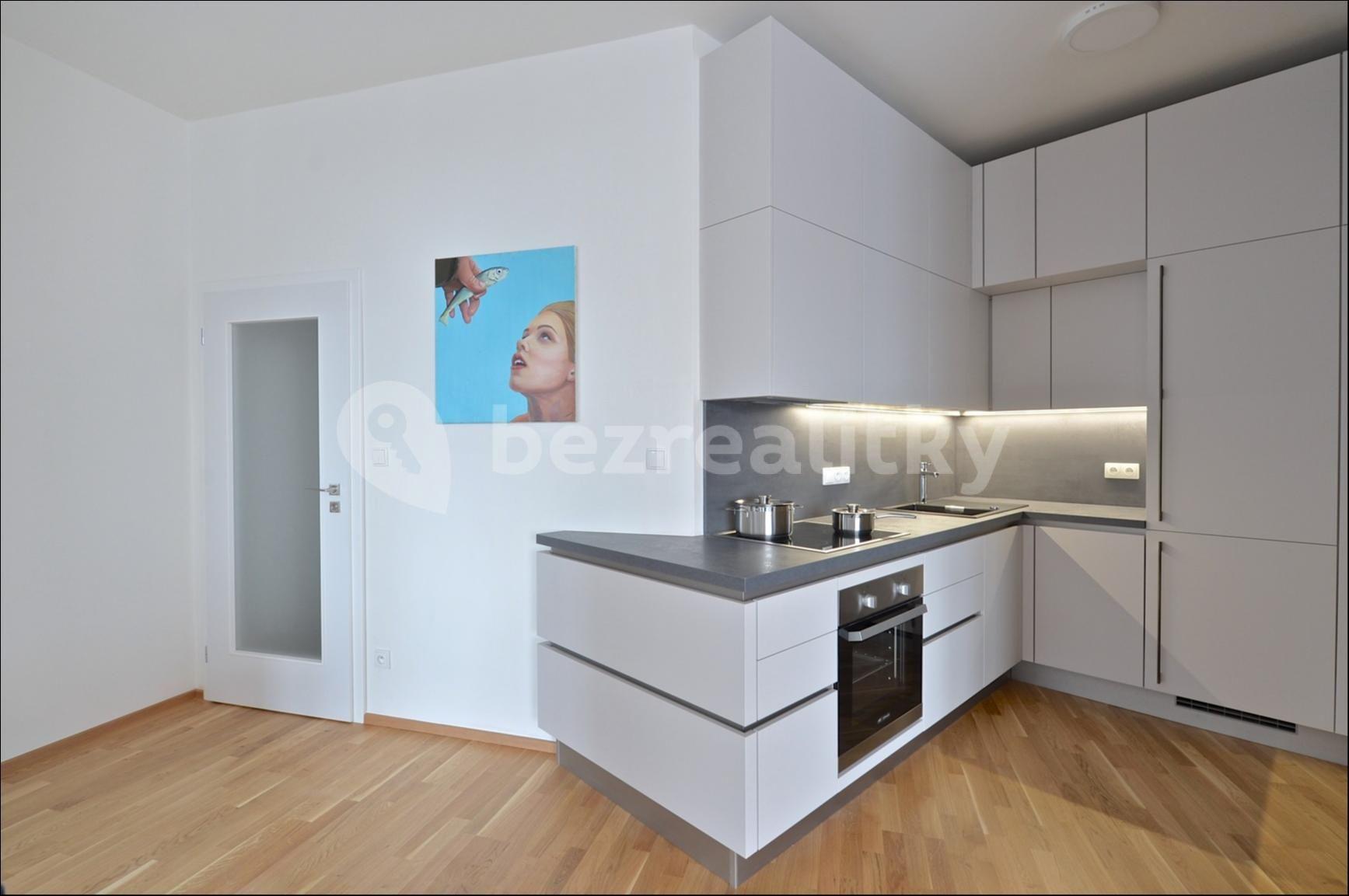 1 bedroom with open-plan kitchen flat to rent, 60 m², Jandova, Prague, Prague