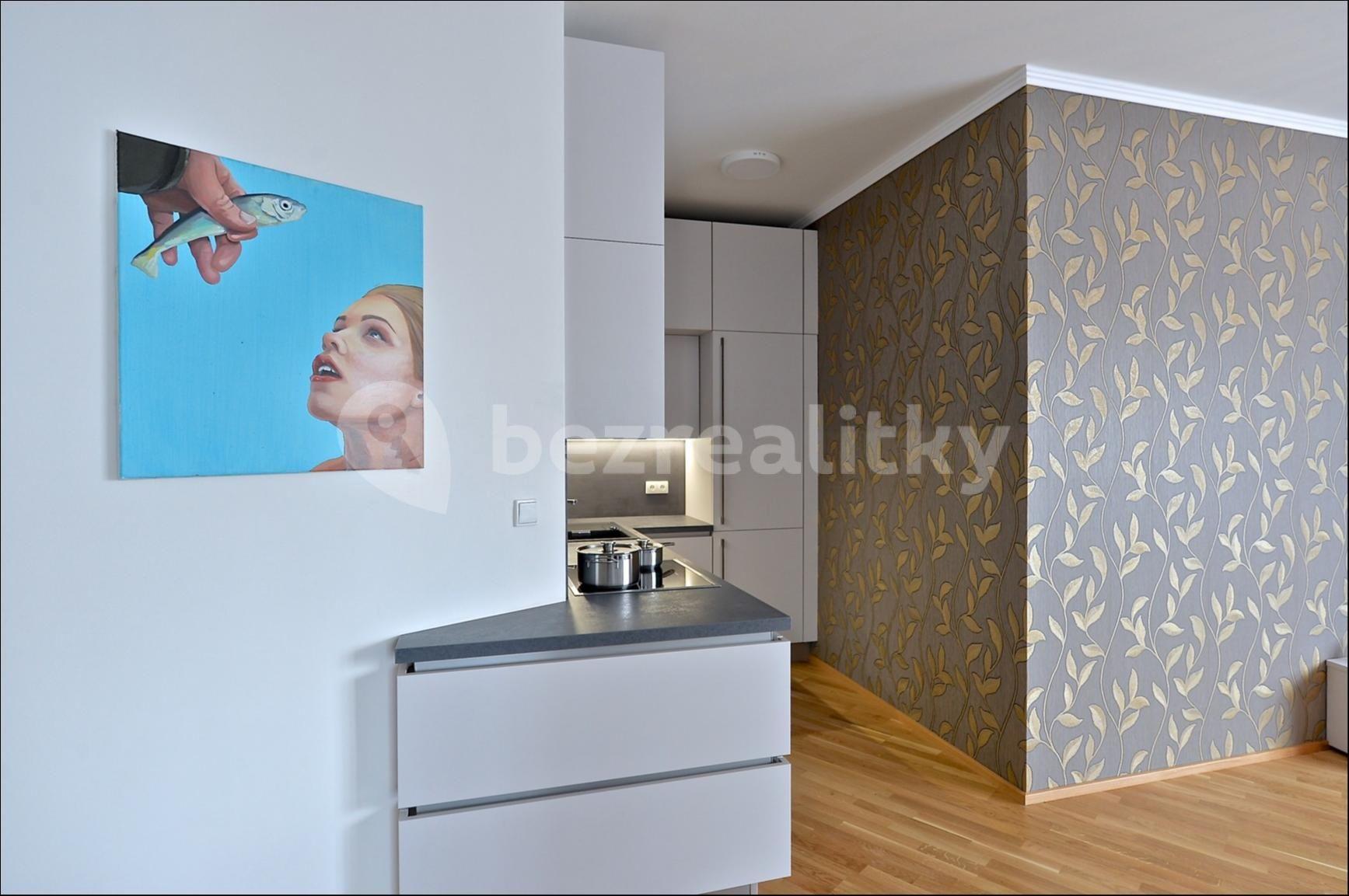 1 bedroom with open-plan kitchen flat to rent, 60 m², Jandova, Prague, Prague