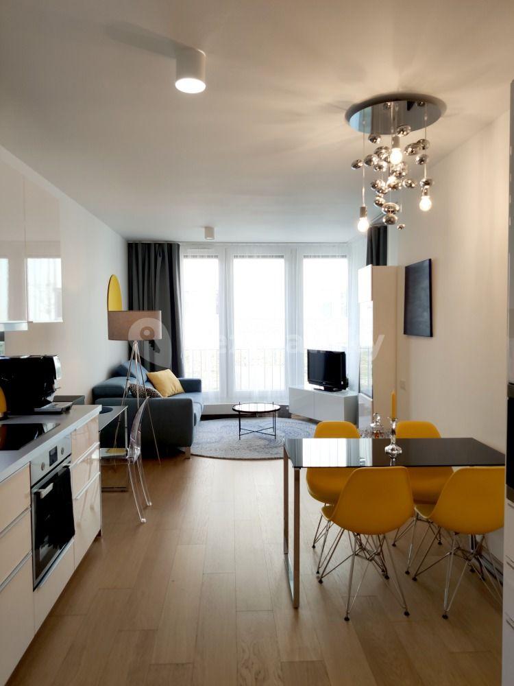 1 bedroom with open-plan kitchen flat to rent, 55 m², Olgy Havlové, Prague, Prague