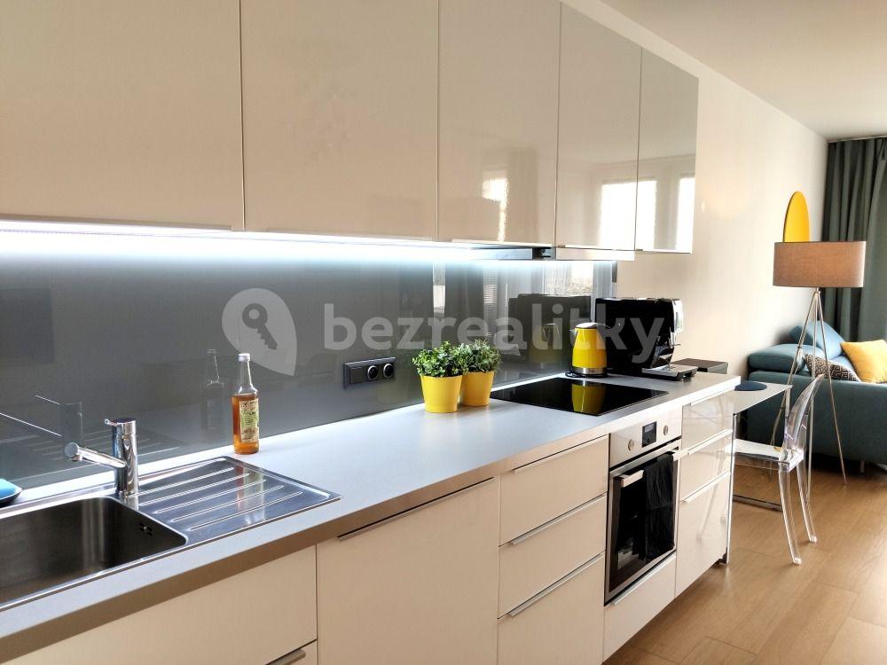 1 bedroom with open-plan kitchen flat to rent, 55 m², Olgy Havlové, Prague, Prague