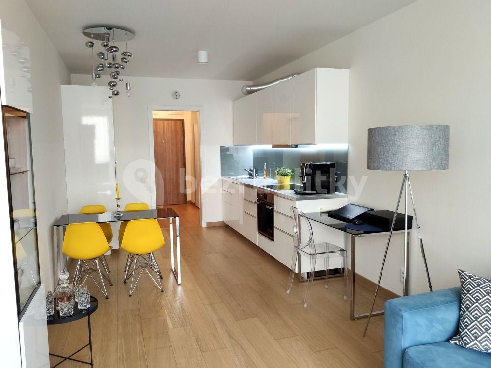 1 bedroom with open-plan kitchen flat to rent, 55 m², Olgy Havlové, Prague, Prague