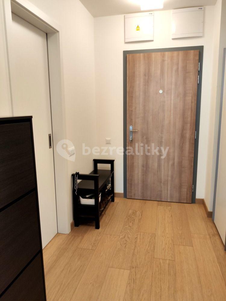 1 bedroom with open-plan kitchen flat to rent, 55 m², Olgy Havlové, Prague, Prague