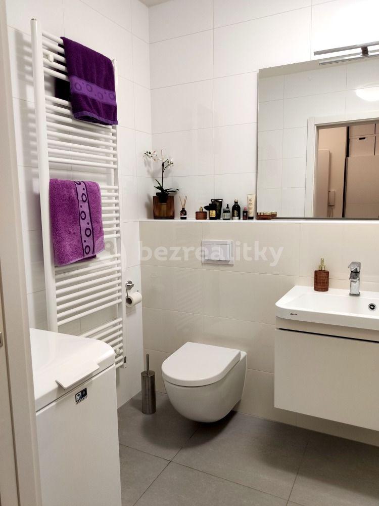 1 bedroom with open-plan kitchen flat to rent, 55 m², Olgy Havlové, Prague, Prague