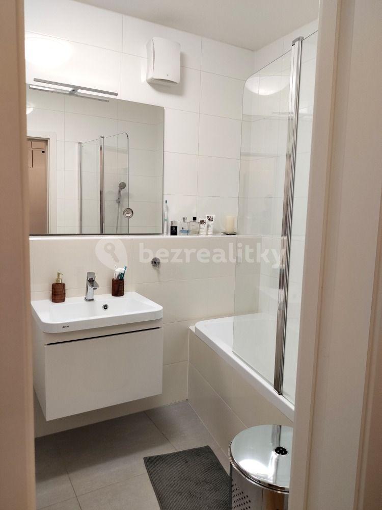 1 bedroom with open-plan kitchen flat to rent, 55 m², Olgy Havlové, Prague, Prague