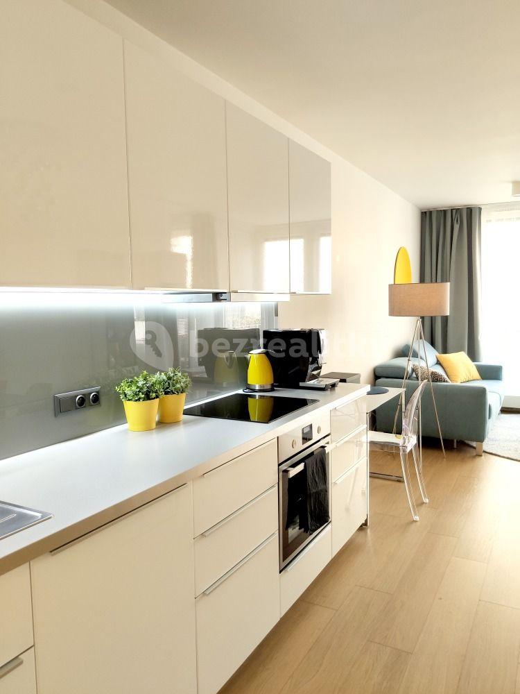 1 bedroom with open-plan kitchen flat to rent, 55 m², Olgy Havlové, Prague, Prague