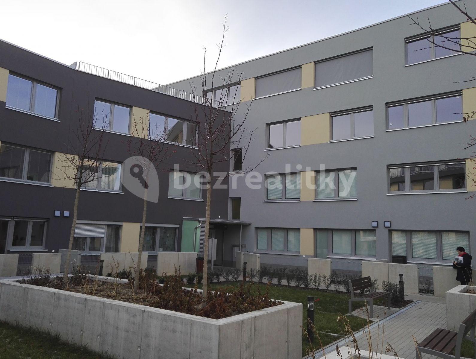 1 bedroom with open-plan kitchen flat to rent, 55 m², Olgy Havlové, Prague, Prague