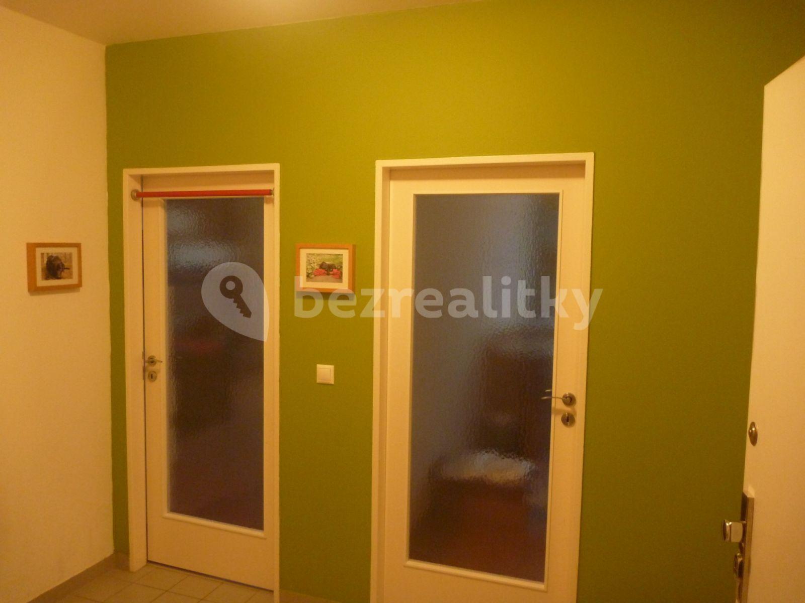 1 bedroom with open-plan kitchen flat to rent, 55 m², U Hostavického potoka, Prague, Prague