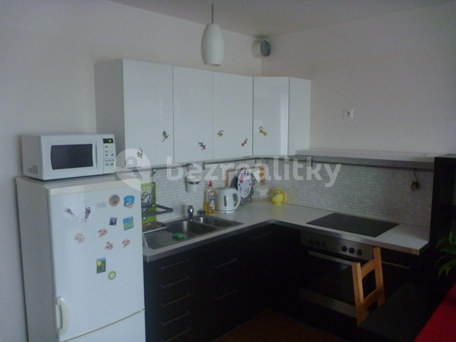 1 bedroom with open-plan kitchen flat to rent, 55 m², U Hostavického potoka, Prague, Prague