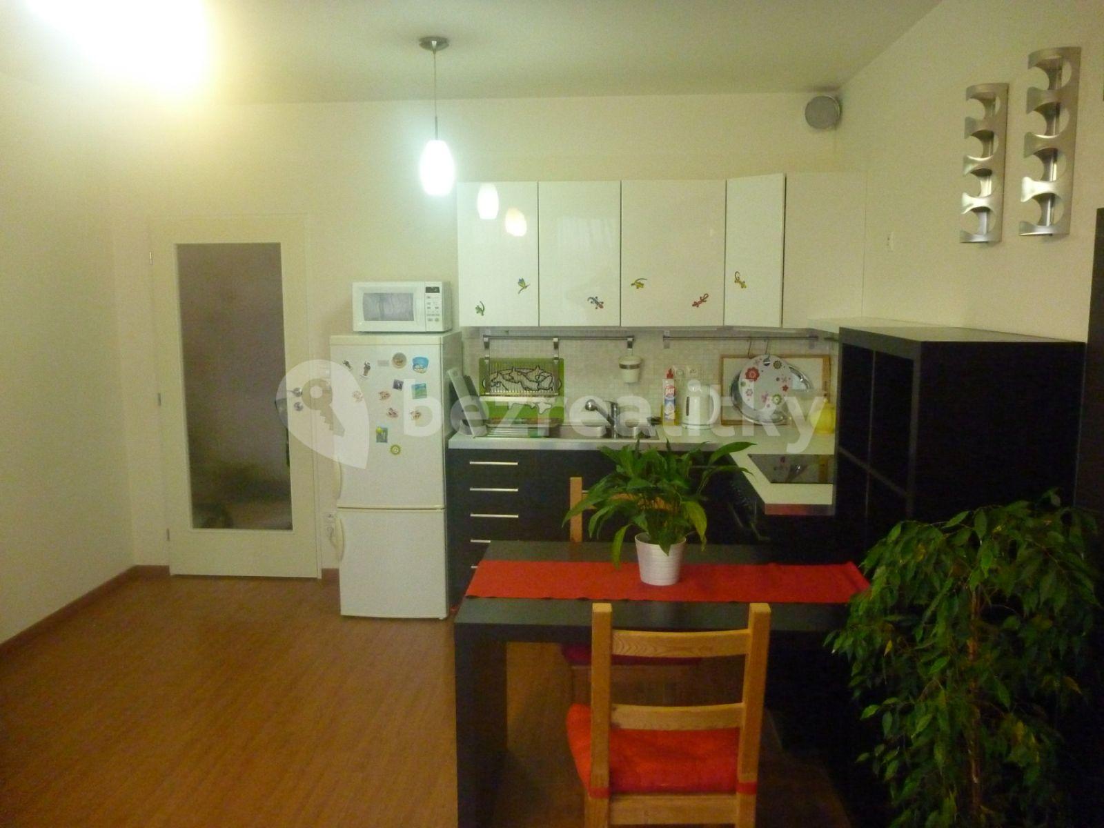 1 bedroom with open-plan kitchen flat to rent, 55 m², U Hostavického potoka, Prague, Prague