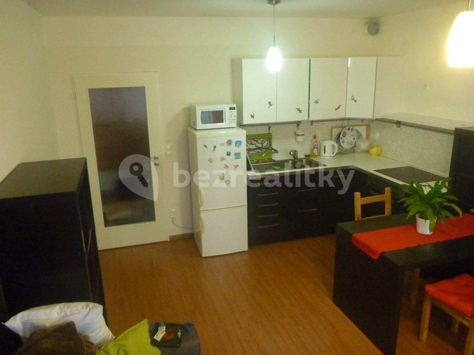 1 bedroom with open-plan kitchen flat to rent, 55 m², U Hostavického potoka, Prague, Prague