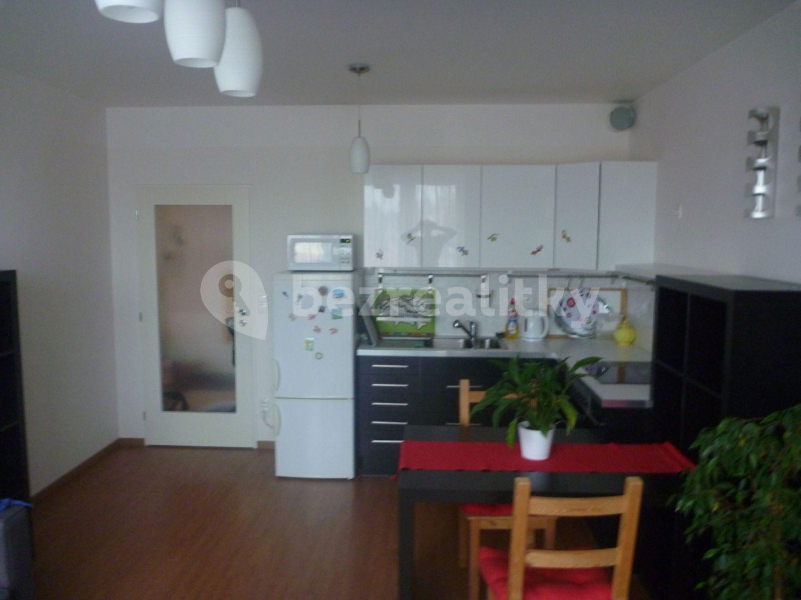 1 bedroom with open-plan kitchen flat to rent, 55 m², U Hostavického potoka, Prague, Prague