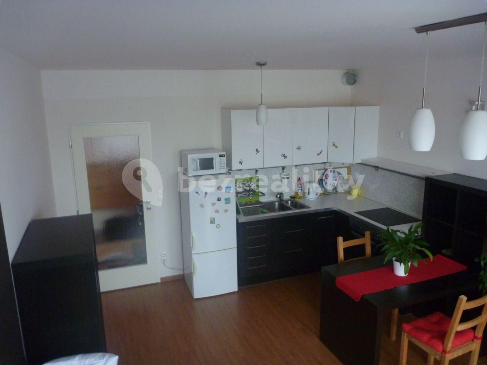 1 bedroom with open-plan kitchen flat to rent, 55 m², U Hostavického potoka, Prague, Prague