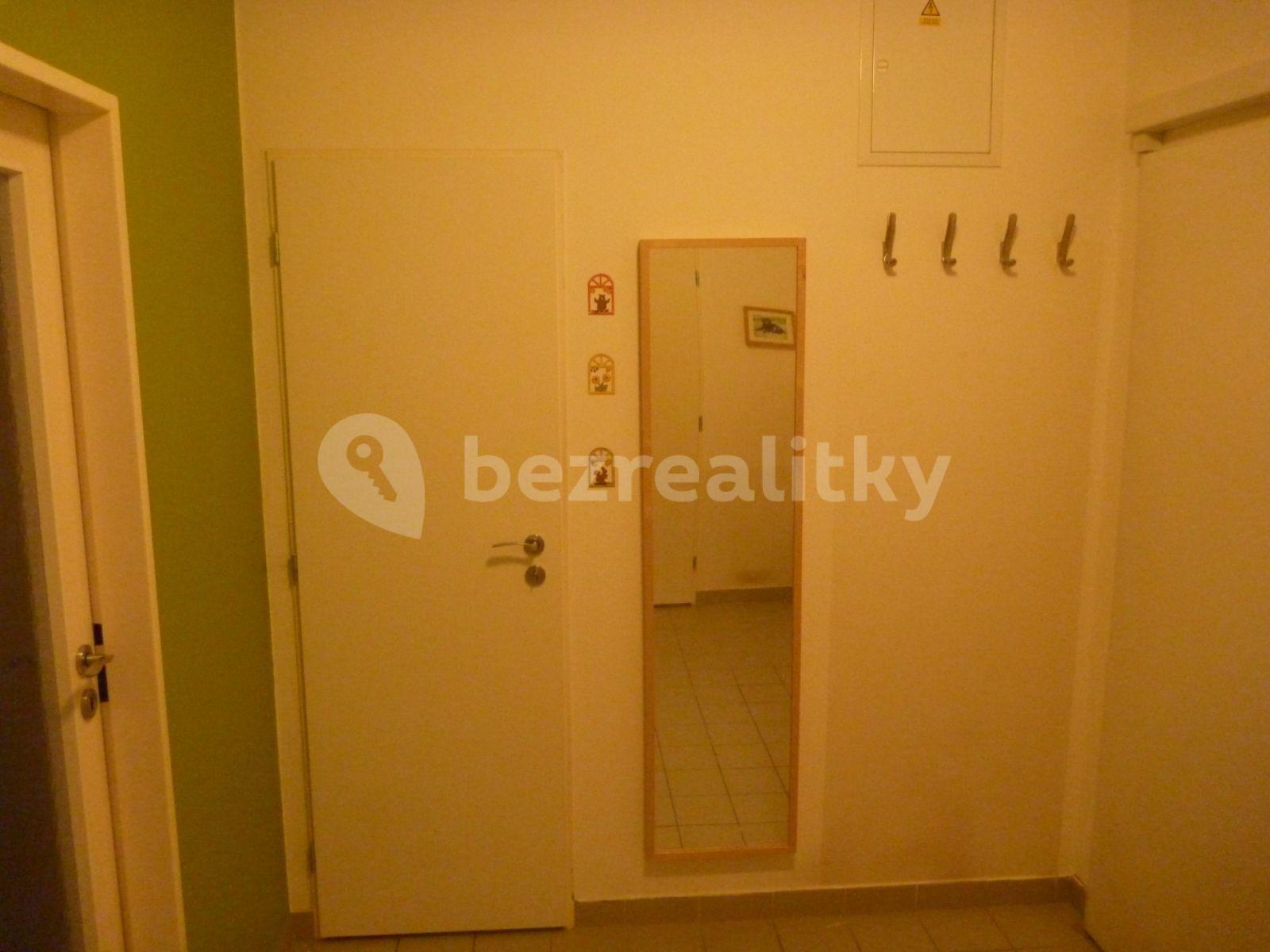 1 bedroom with open-plan kitchen flat to rent, 55 m², U Hostavického potoka, Prague, Prague