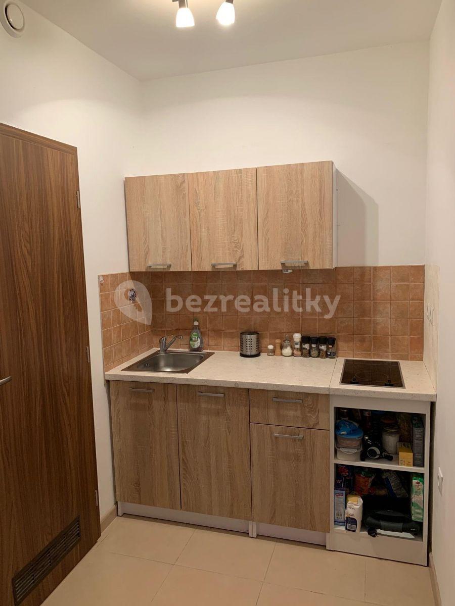 1 bedroom flat to rent, 33 m², Polní, Zdiby, Středočeský Region