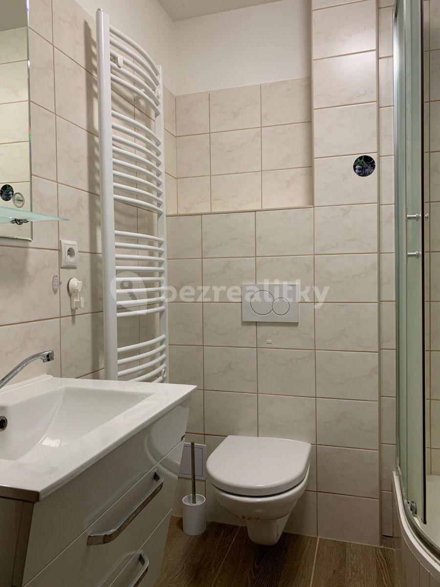 1 bedroom flat to rent, 33 m², Polní, Zdiby, Středočeský Region