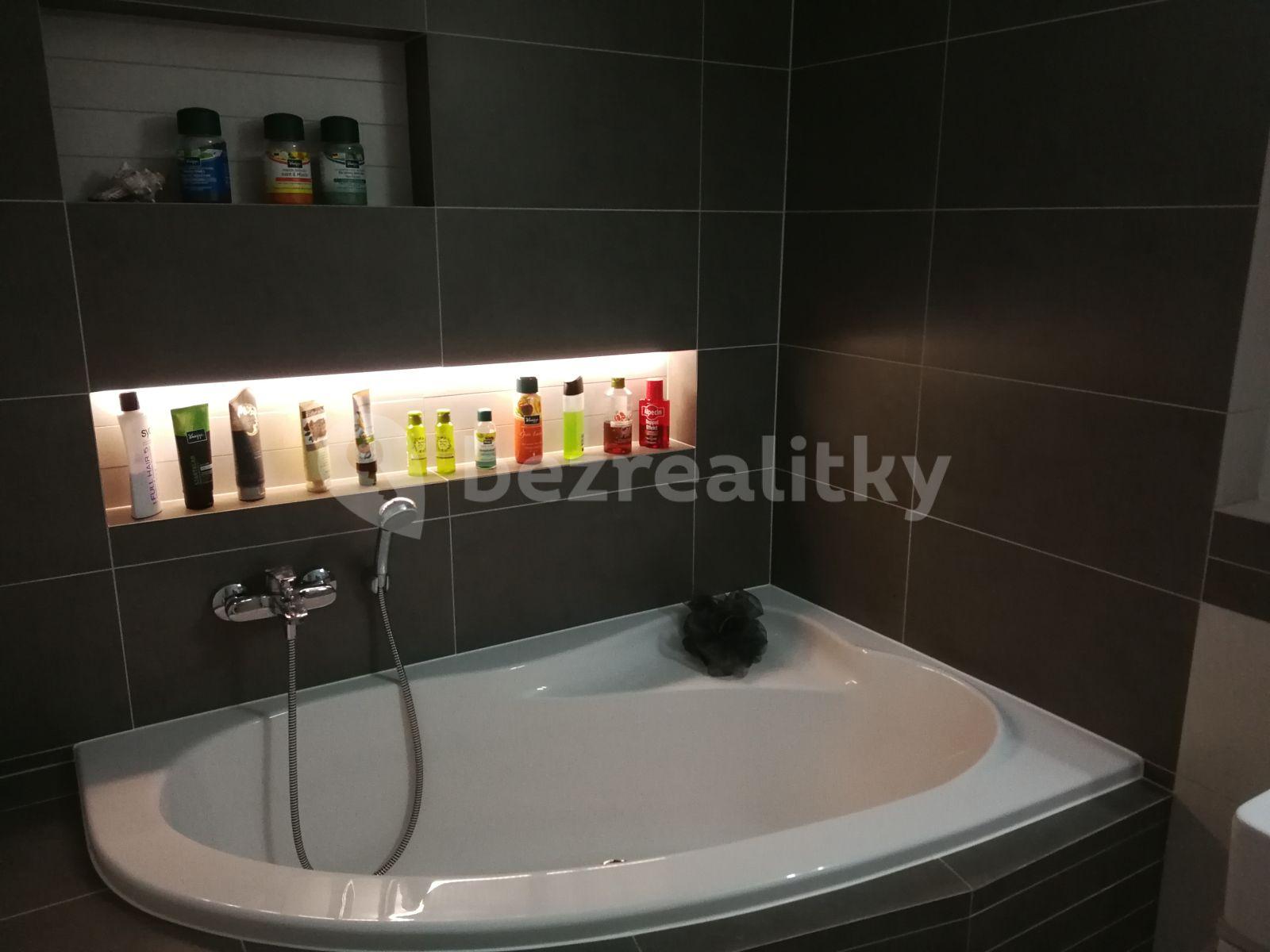 1 bedroom with open-plan kitchen flat to rent, 57 m², Marciho, Prague, Prague