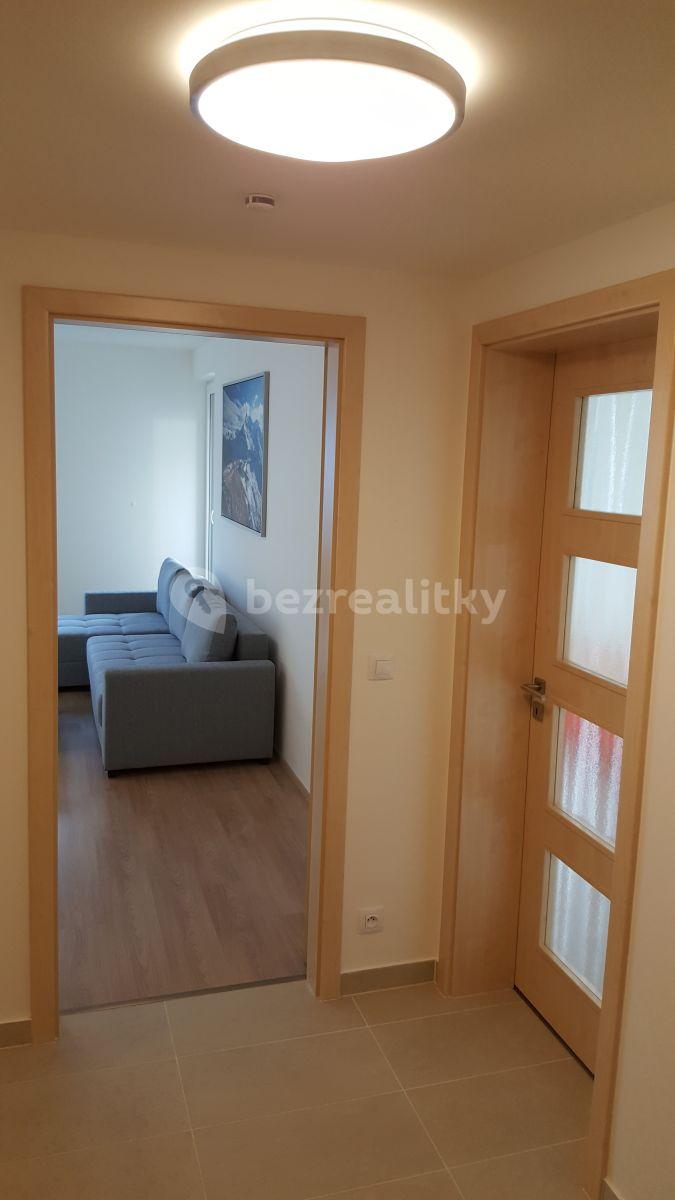 1 bedroom with open-plan kitchen flat to rent, 63 m², Na zlatě, Prague, Prague