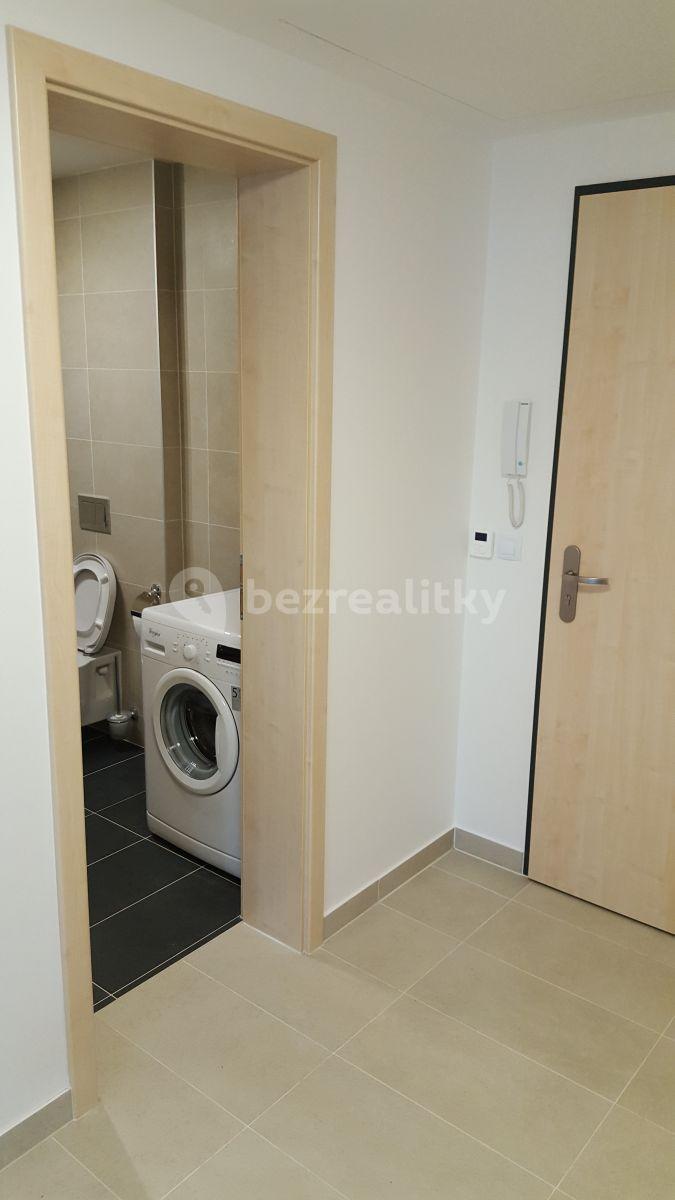 1 bedroom with open-plan kitchen flat to rent, 63 m², Na zlatě, Prague, Prague