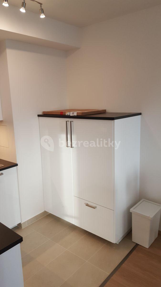 1 bedroom with open-plan kitchen flat to rent, 63 m², Na zlatě, Prague, Prague