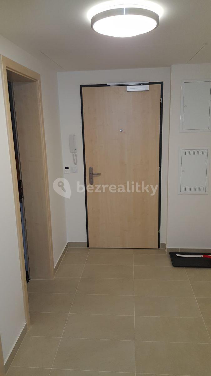 1 bedroom with open-plan kitchen flat to rent, 63 m², Na zlatě, Prague, Prague