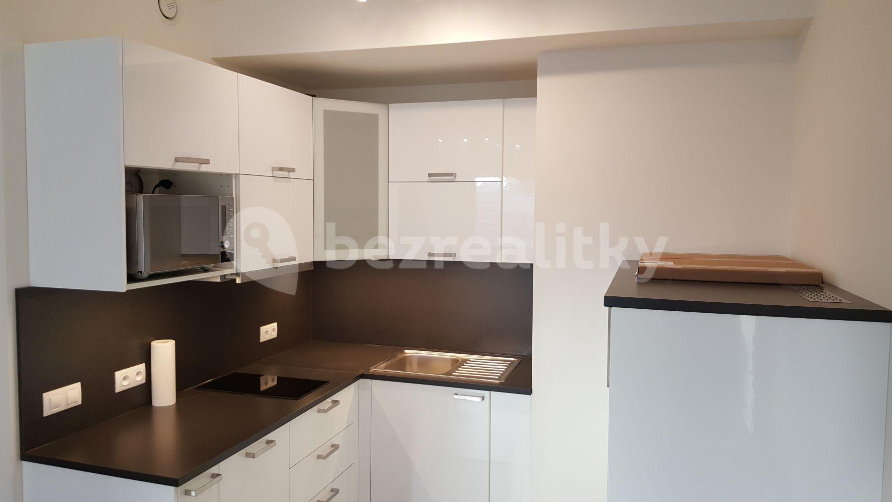 1 bedroom with open-plan kitchen flat to rent, 63 m², Na zlatě, Prague, Prague