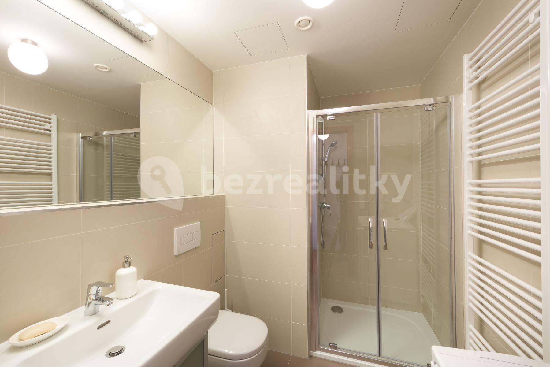 Studio flat to rent, 20 m², Koněvova, Prague, Prague