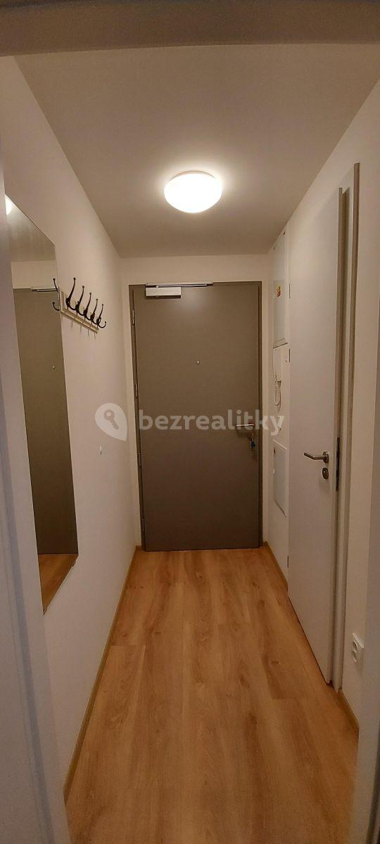 Studio flat to rent, 20 m², Koněvova, Prague, Prague