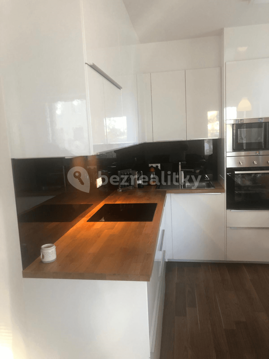 1 bedroom with open-plan kitchen flat to rent, 65 m², Rižská, Prague, Prague