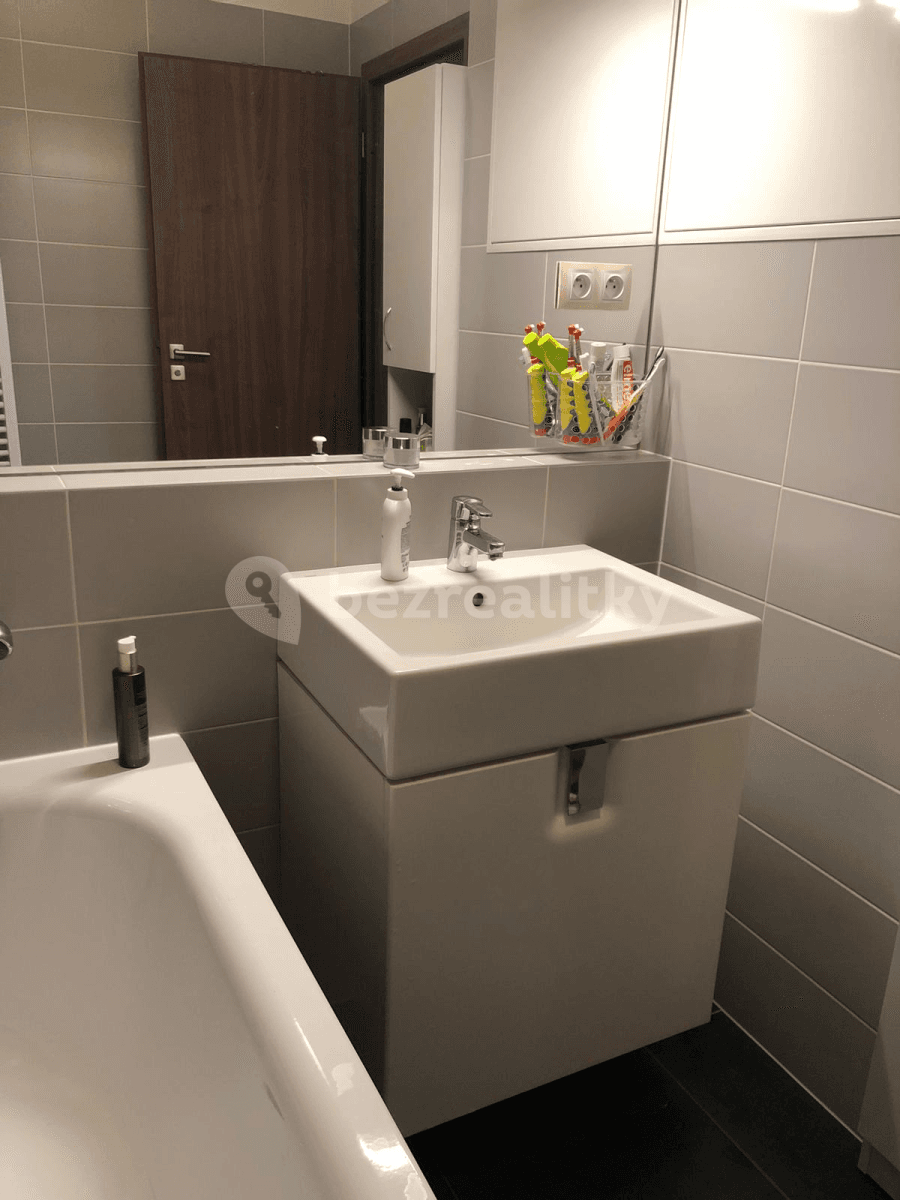 1 bedroom with open-plan kitchen flat to rent, 65 m², Rižská, Prague, Prague