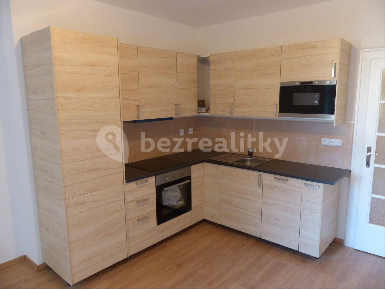 1 bedroom with open-plan kitchen flat to rent, 44 m², Jana Želivského, Prague, Prague