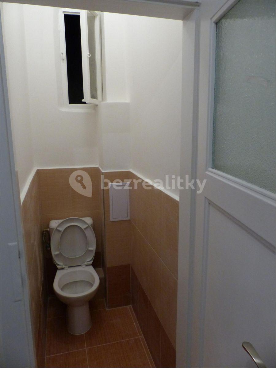 1 bedroom with open-plan kitchen flat to rent, 44 m², Jana Želivského, Prague, Prague