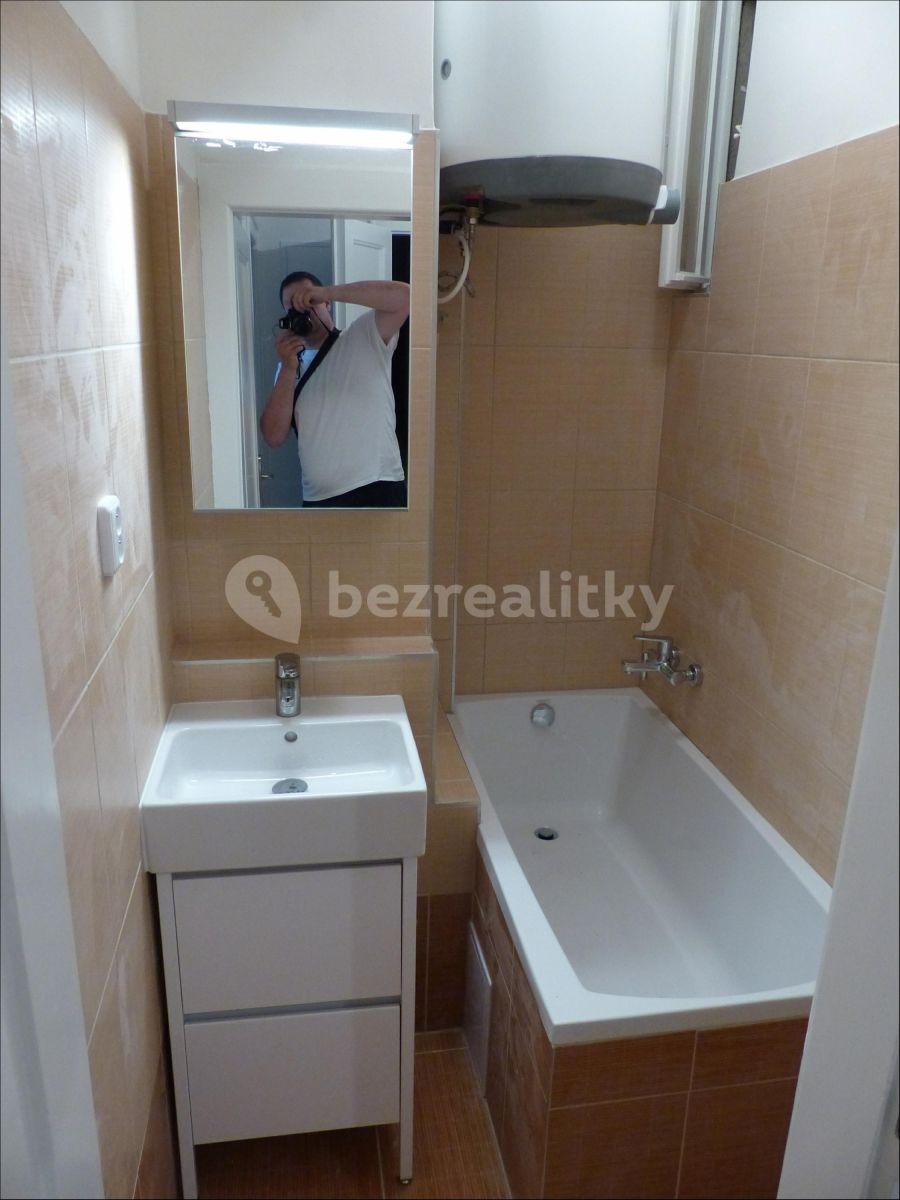 1 bedroom with open-plan kitchen flat to rent, 44 m², Jana Želivského, Prague, Prague